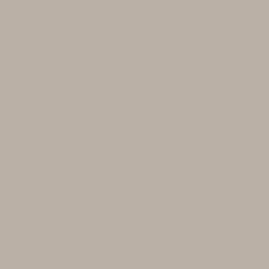 Beige arizona